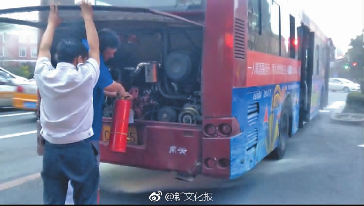 flash最新版本下載_雪假收官！延吉冰雪文旅熱度“狂飆”