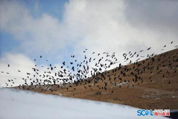 51好資源源碼網(wǎng)站_今日期貨市場重要快訊匯總｜2025年12月10日