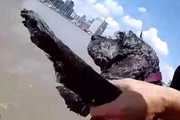 貝殼董事長彭永東出售股票用以捐贈(zèng)，系上市以來首次減持