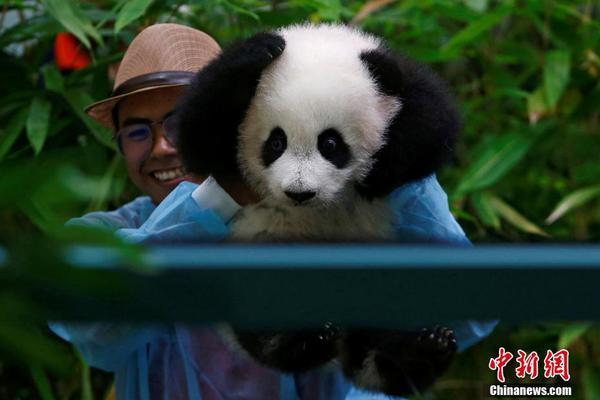 自媒體稱“張一鳴是全球最大毒梟” 抖音告侮辱誹謗獲勝