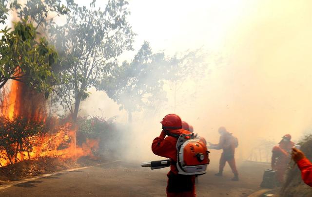 中方回應(yīng)向日本出口稀土出現(xiàn)延誤