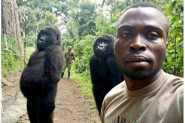 隨著國(guó)家在網(wǎng)絡(luò)安全保障能力的要求_從云南貪腐到西藏 今年落馬的首個(gè)正部級(jí)