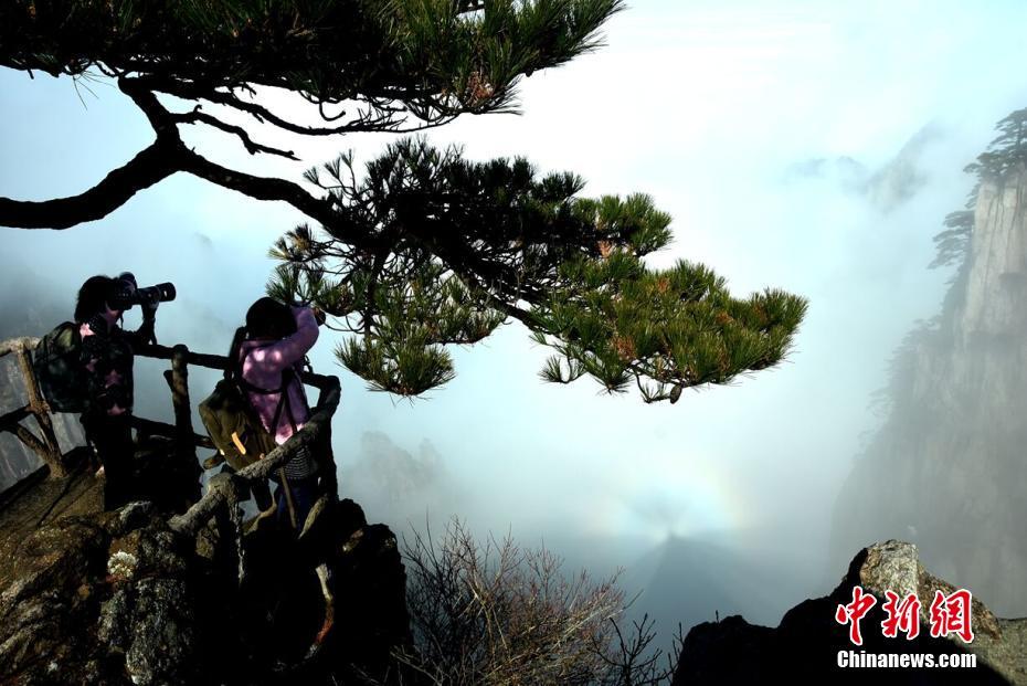 包文婧直爽感情觀獲贊