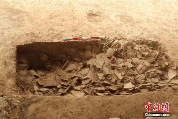 代碼審計(jì)面經(jīng)_黃楊鈿甜訴B站侵權(quán)案明年1月開庭