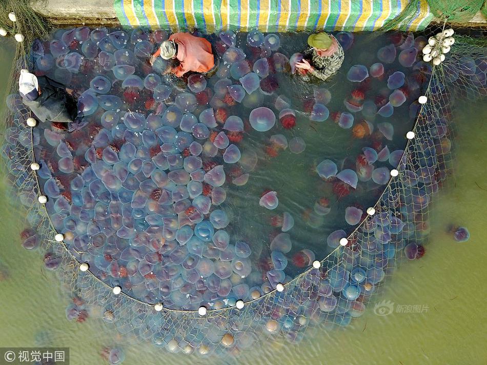 用頂級域名搭建后怎么修改成二級域名_一位留學生的高原生活：用標準藏語贊嘆西藏