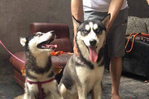 漏洞分析驗證系統(tǒng)_【#U20亞洲杯落戶杭州#】亞足聯(lián)官方宣布，2027亞足聯(lián)U20亞洲杯承