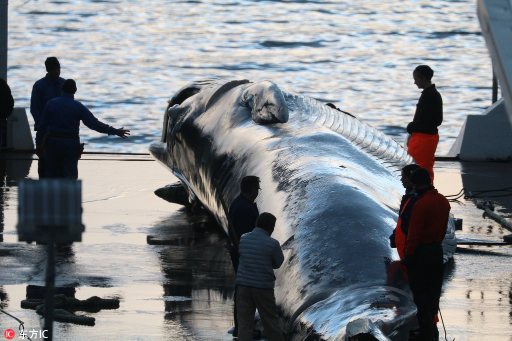 外網(wǎng)知乎quora_“七重鎖定”向世界昭告臺灣的“三個一”