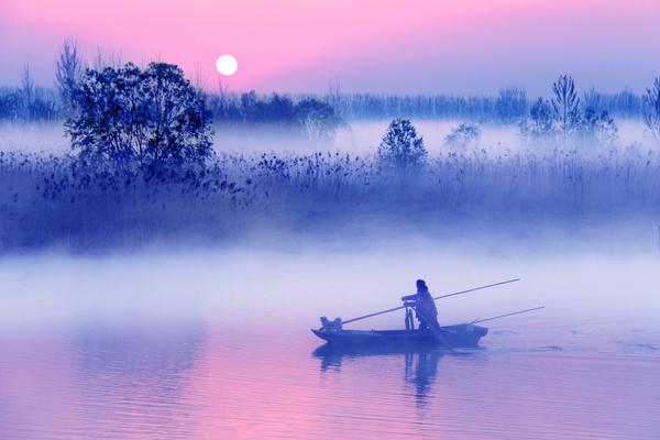 預(yù)防網(wǎng)絡(luò)釣魚攻擊的方法有_為何網(wǎng)友不再相信張柏芝的“故事”？