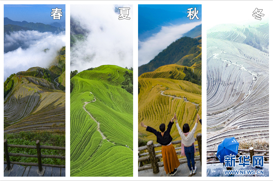 貪婪腐化搞錢色交易 “海關(guān)虎”孫玉寧受賄5072萬獲刑13年