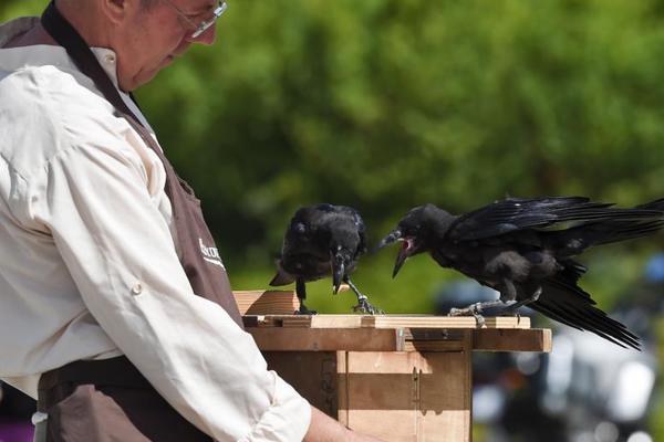 命令框進(jìn)入數(shù)據(jù)庫(kù)_請(qǐng)專注在重要的事情上