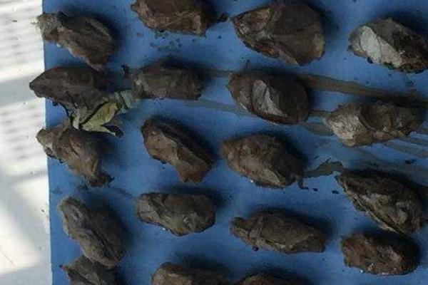 國(guó)內(nèi)環(huán)境如何使用谷歌搜索引擎功能_又一私募冠軍隕落!上億股權(quán)拍賣無人問津