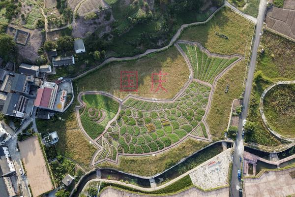 付費(fèi)才能打開的網(wǎng)頁(yè)怎么辦_滴滴成立司機(jī)服務(wù)部 計(jì)劃年內(nèi)設(shè)立兩千名服務(wù)經(jīng)理