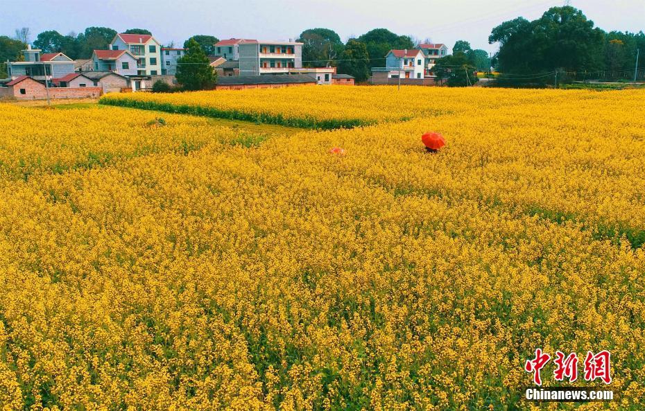 違反安全操作規(guī)程怎么寫處罰通報(bào)_一老人家中電視機(jī)突起火 插頭長期不拔有風(fēng)險(xiǎn)