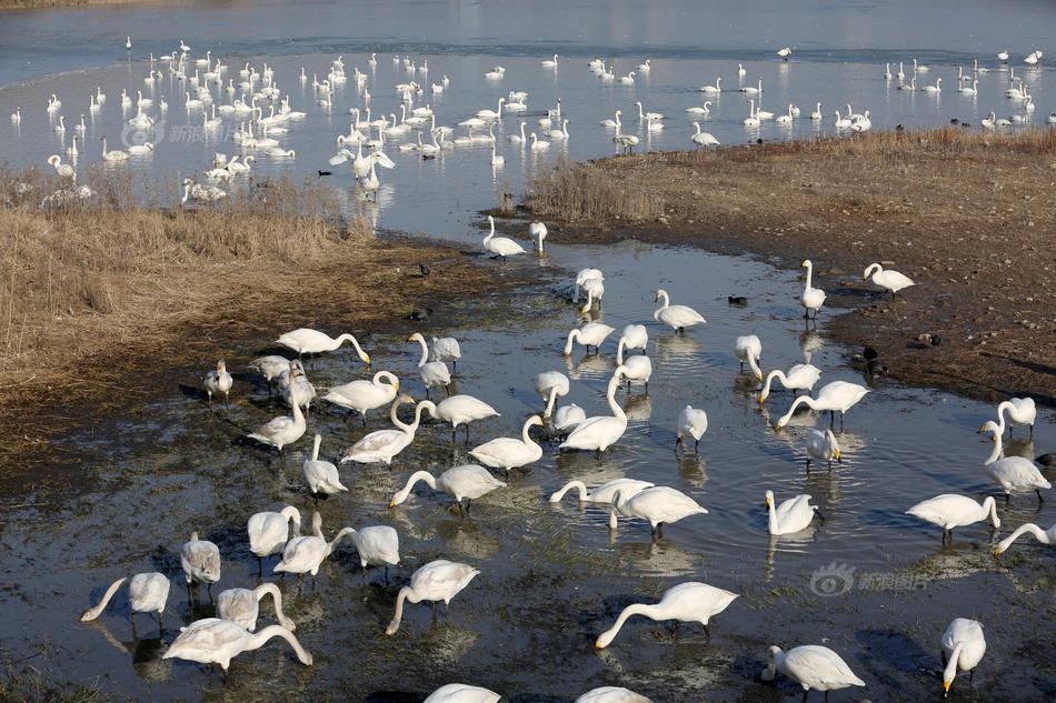 sql2012的的數(shù)據(jù)庫密碼在哪查看_清潔電器成家電新增長點(diǎn)