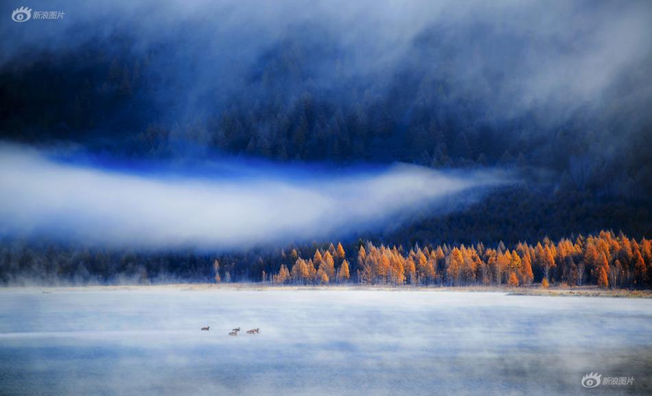 個(gè)人信息被泄露怎么辦應(yīng)該怎么做_大墨私宅 汲取自然靈感