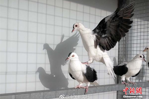 各站點(diǎn)運(yùn)維服務(wù)方案_下周穿什么 | 這是什么神仙褲子！換腿術(shù)你聽(tīng)過(guò)嗎？