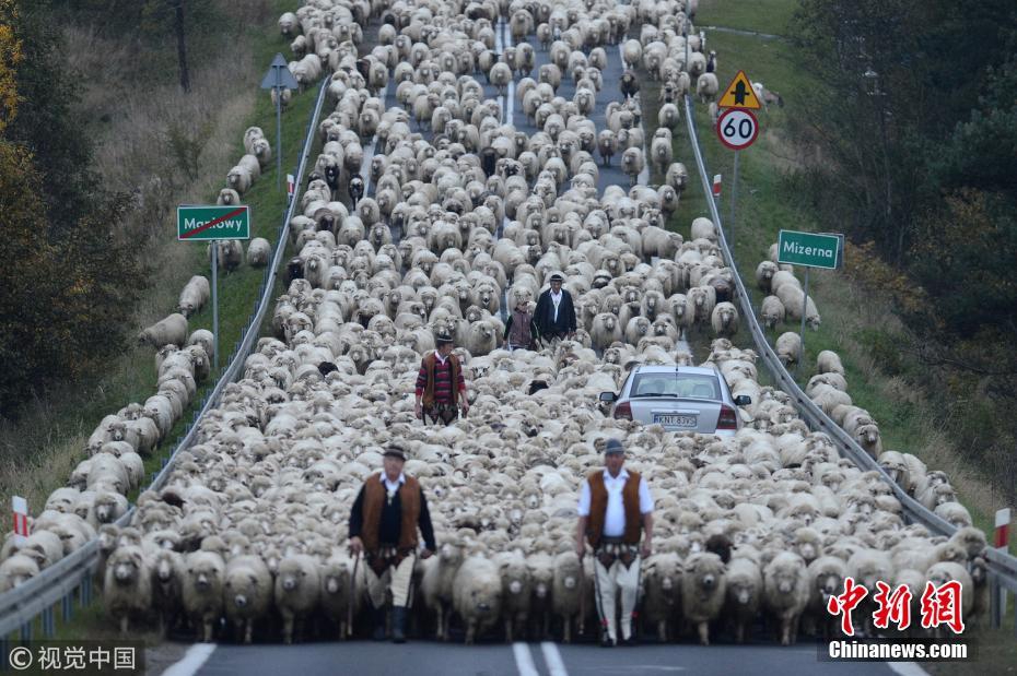 拼多多怎么推廣才有自然流量_法國藝術家貝納維內(nèi)紀念雕塑捐贈儀式在北京舉行