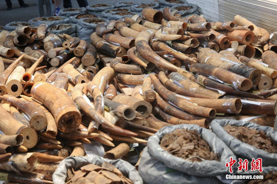 知乎網(wǎng)頁(yè)版官網(wǎng)入口_術(shù)士三系登頂，魔獸時(shí)光服首周MC輸出排行出爐！盜賊、狂暴戰(zhàn)加強(qiáng)