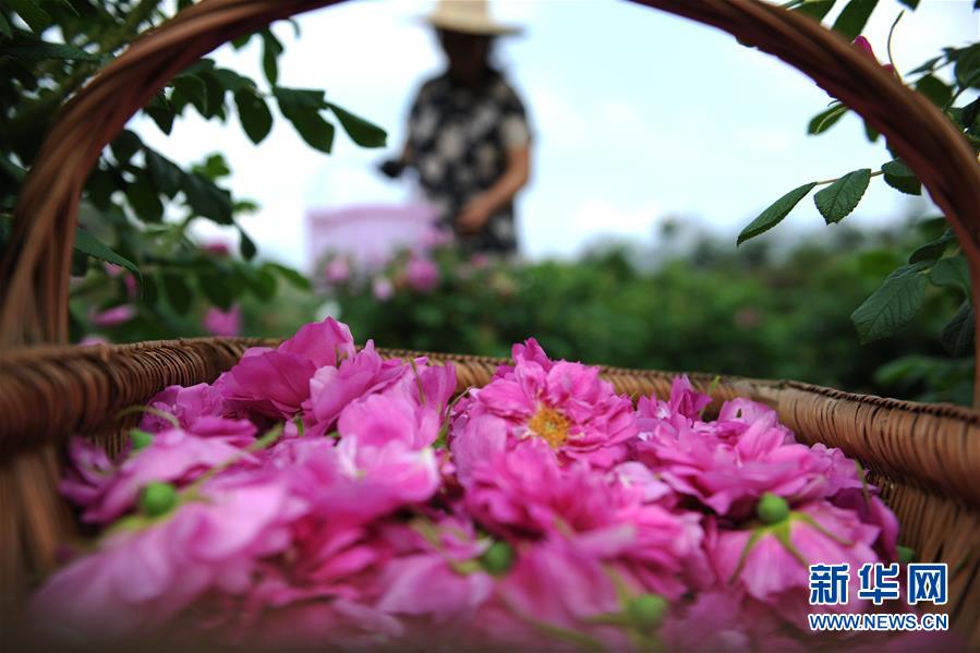 tp5上傳圖片_長期與私企老板打牌賭博 陜西省委原常委錢引安被雙開