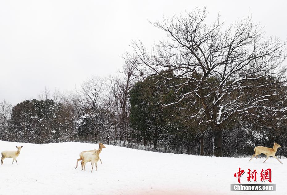 我國(guó)成功發(fā)射遙感四十七號(hào)衛(wèi)星