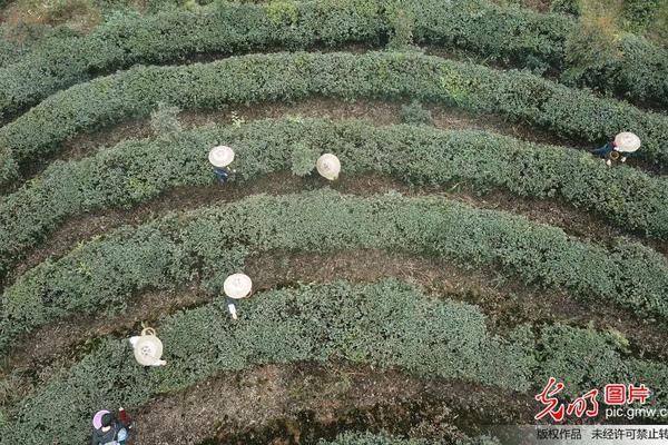 vmware esxi高危漏洞_國安1-0領(lǐng)先河南！法比奧打門制造門前混亂，隨后補(bǔ)射破門