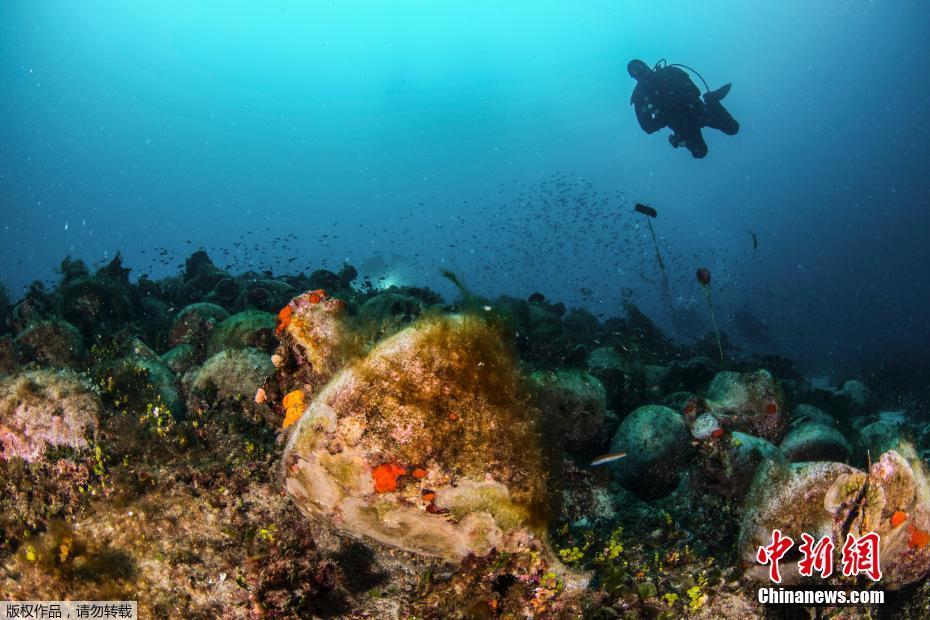 【桐心薇泯】千禧年軼事