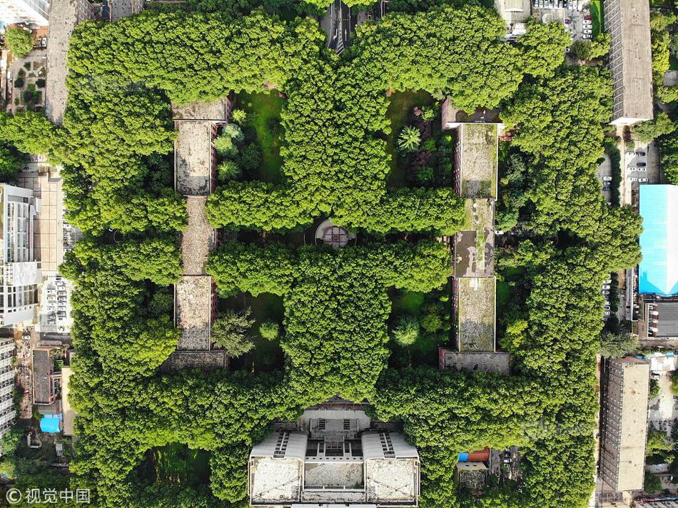 國(guó)外求購(gòu)信息一般都在什么網(wǎng)站上發(fā)布_姚弛答題賽兩度復(fù)活，自稱(chēng)最懂娛樂(lè)圈甩鍋羅伯特