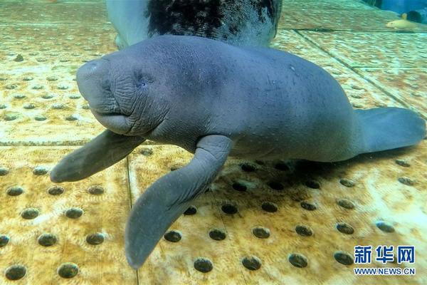 web動態(tài)網(wǎng)站源代碼_楊超越太陽雨妝造曝光，劉海丸子頭演繹校園女主