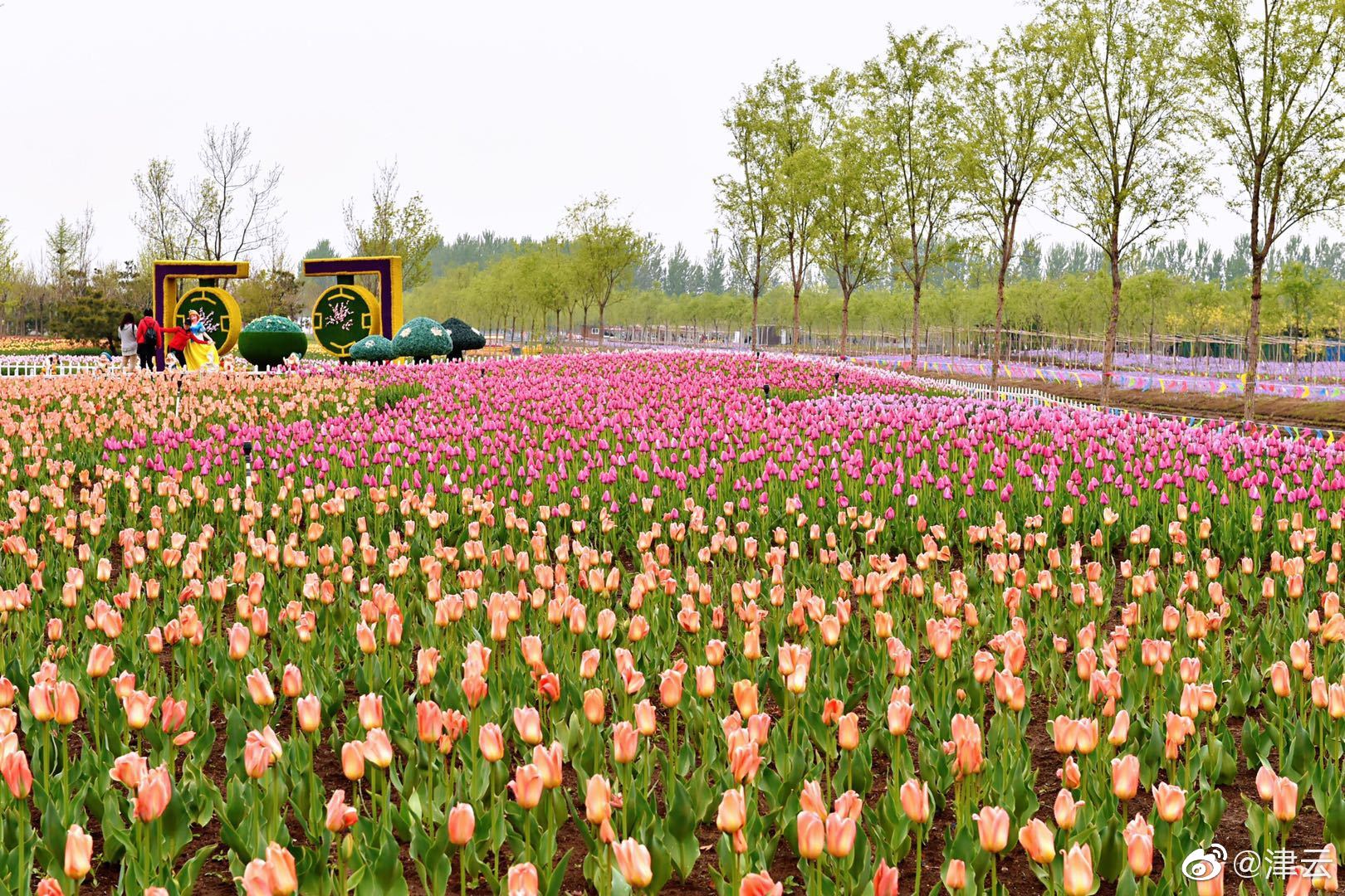 web服務(wù)器官網(wǎng)登錄_更多千元護(hù)膚彩妝都免費(fèi)領(lǐng)