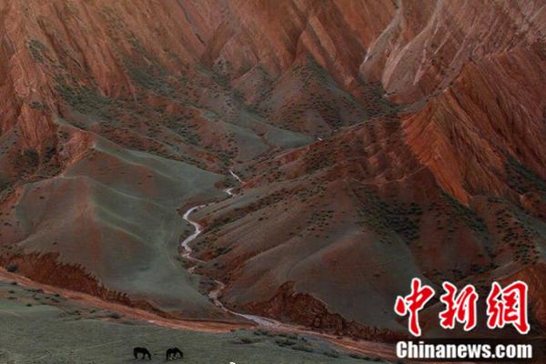 網(wǎng)易公布2024年第二季度財報