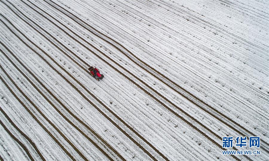 黑客攻擊日本_三折疊巔峰對決 三星能否終結(jié)華為無盡的寂寞