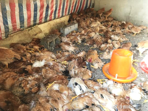 如何使用b2c網(wǎng)站獲得更大的經(jīng)濟效益_關于流感的18個疑問，北京兒童醫(yī)院專家權威解答