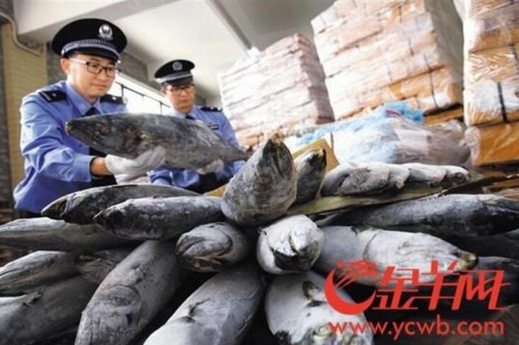 網(wǎng)站問題分析_“電力滿格”中藏著經(jīng)濟的澎湃活力