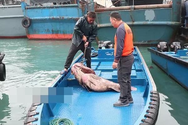 exp怎么用_印度“幽靈飛機”停在機場13年后被發(fā)現(xiàn)