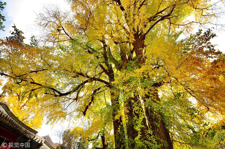 go語言開發(fā)環(huán)境免費版中文版_孔笙談肖戰(zhàn)出演莫得閑，稱其心氣高眼神清澈