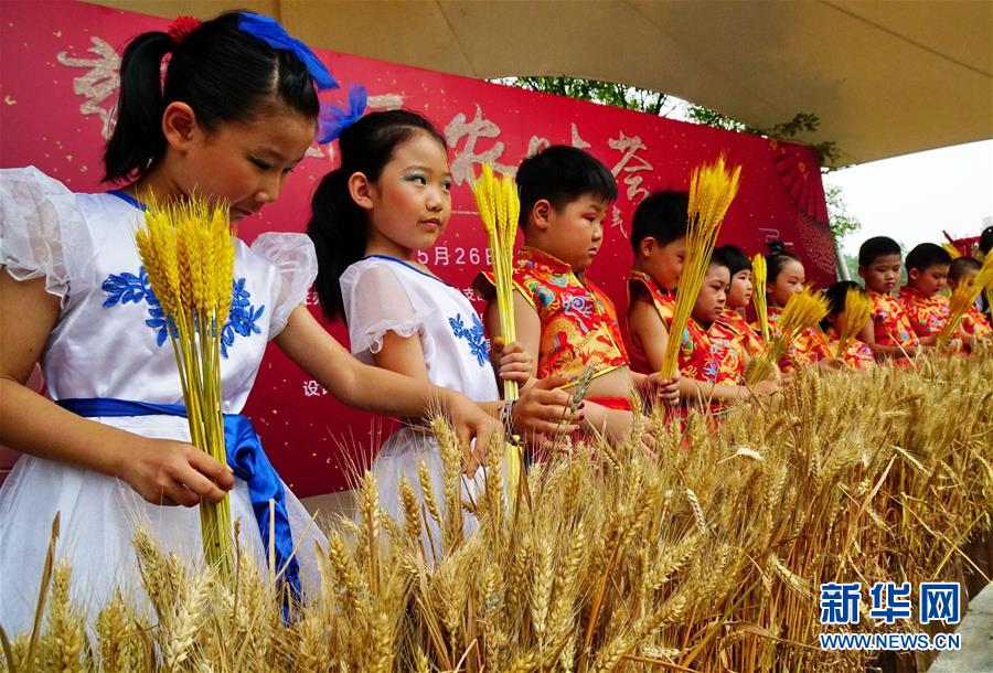 為什么360瀏覽器很多網(wǎng)站都打不開_這一年 經(jīng)濟(jì)運(yùn)行總體平穩(wěn)、穩(wěn)中有進(jìn)（年終特別報(bào)道）