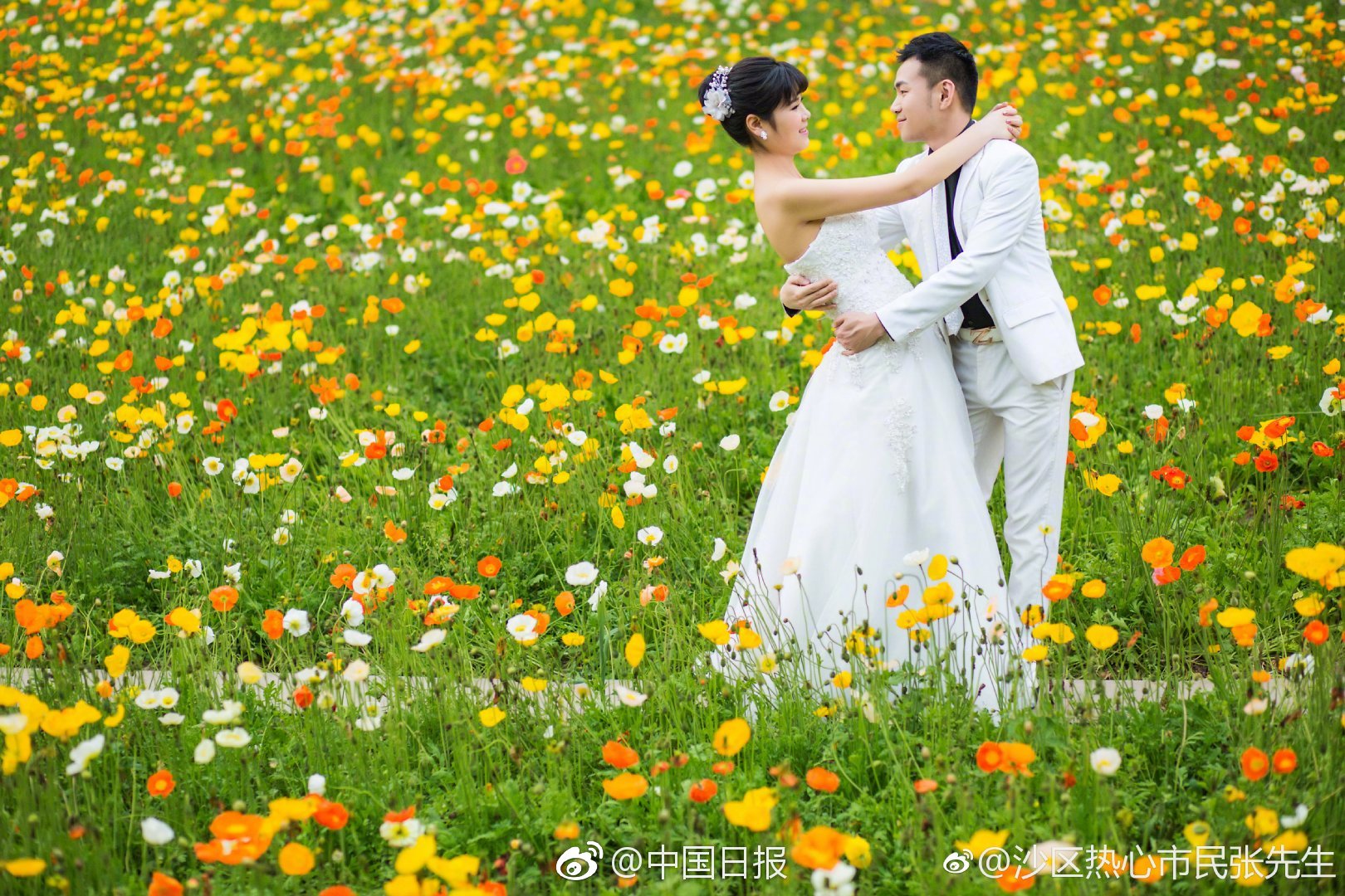 適合小型網(wǎng)站的數(shù)據(jù)庫是什么_前主編Global丨外媒：邊境沖突再起，泰柬兩國軍事實(shí)力對(duì)比如何？