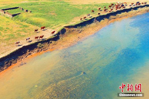 100萬億Token揭示今年AI趨勢！硅谷的這份報告火了