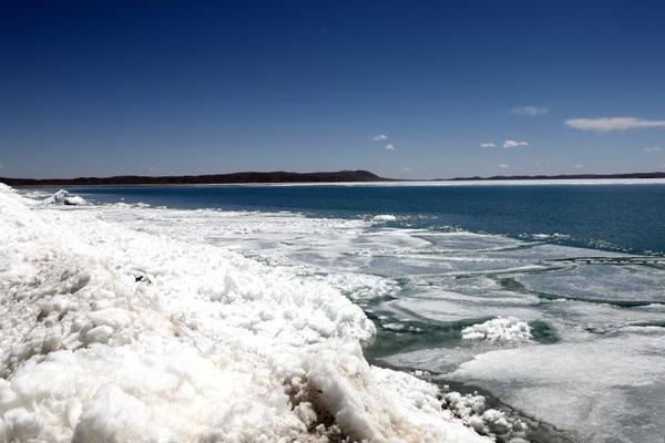春節(jié)日記作文300字_“美中兩國人民的友誼將不斷延綿”