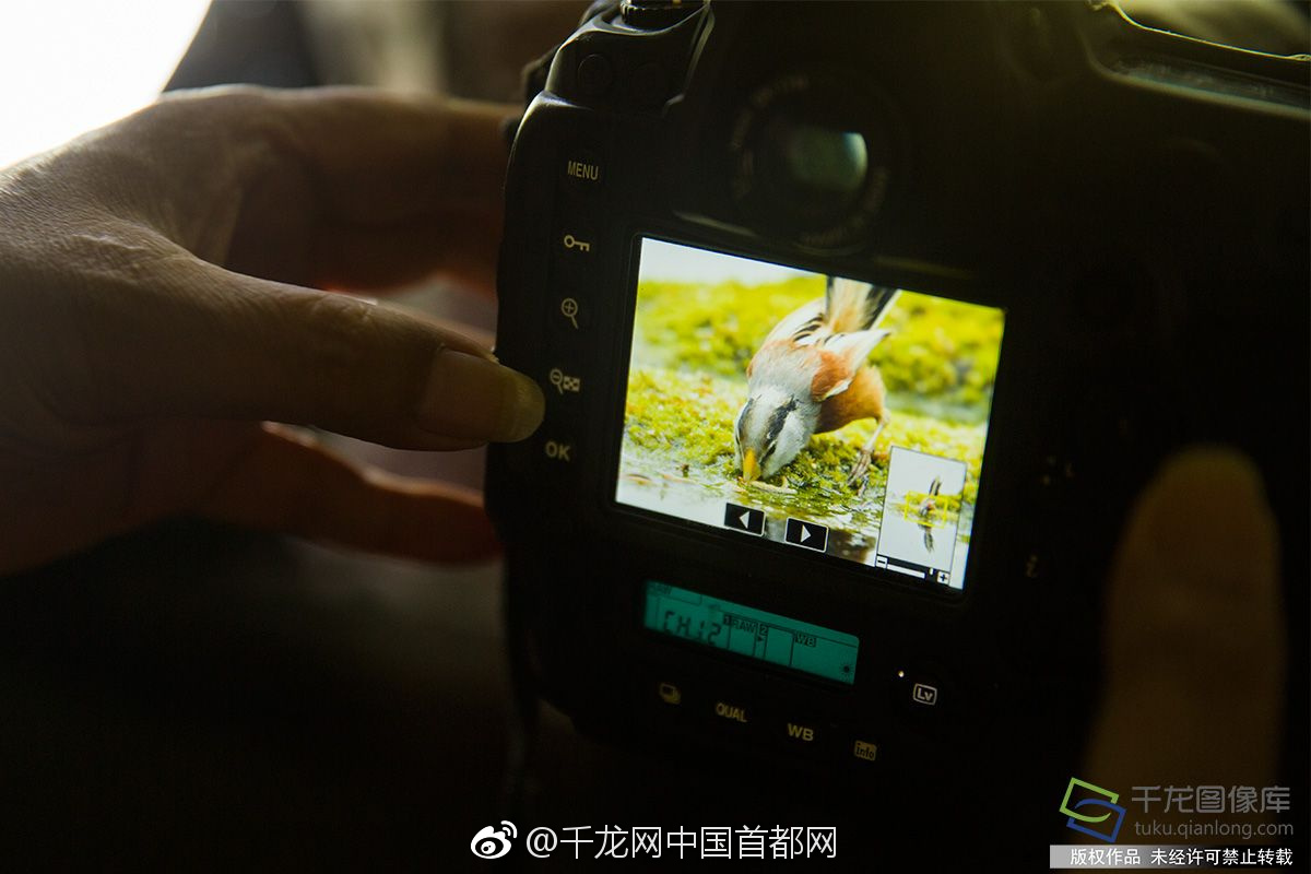 openssl與openssh有關(guān)系嗎_馬來西亞總理與柬泰領(lǐng)導(dǎo)人通話，討論兩國邊境局勢