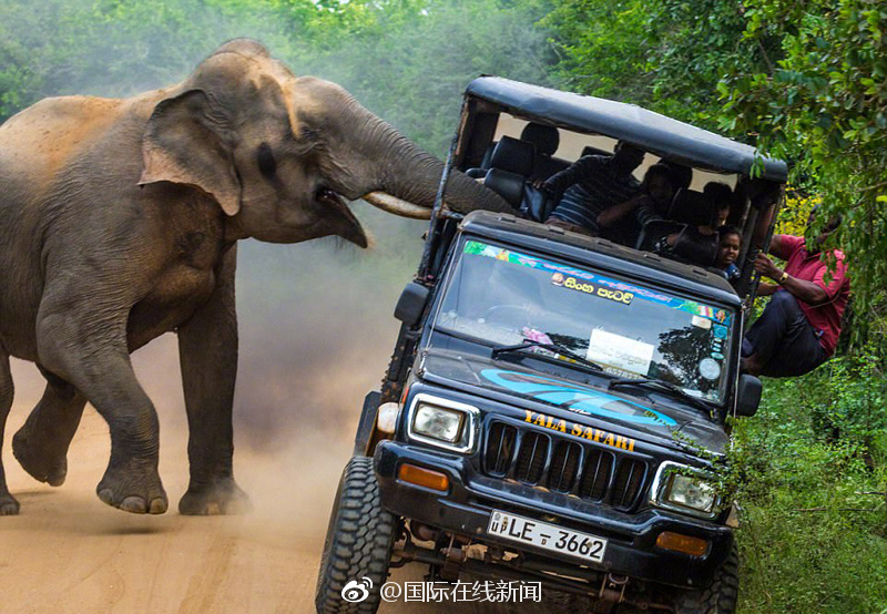 挖掘關鍵詞的工具_烏方將向美提交新20點和平計劃 澤連斯基表態(tài)