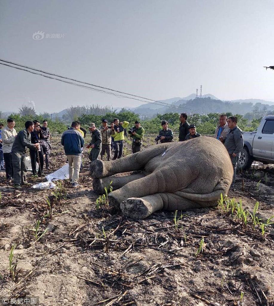 pdf保護(hù)口令不知道密碼如何破解_普京:今年底俄通脹率將在6%左右甚至更低