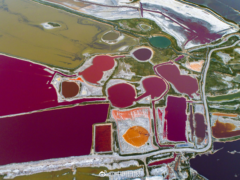 論壇帖子下載神器_03:09 解讀MINI PAUL SMITH設計師款