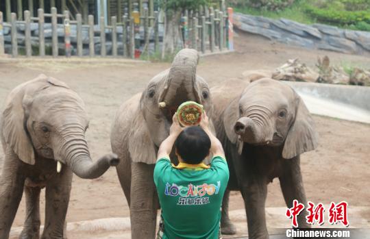 wifi密碼破解電腦綠色版下載官方_中方：日方應(yīng)做的是認(rèn)真反思糾錯(cuò) 老實(shí)撤回錯(cuò)誤言論