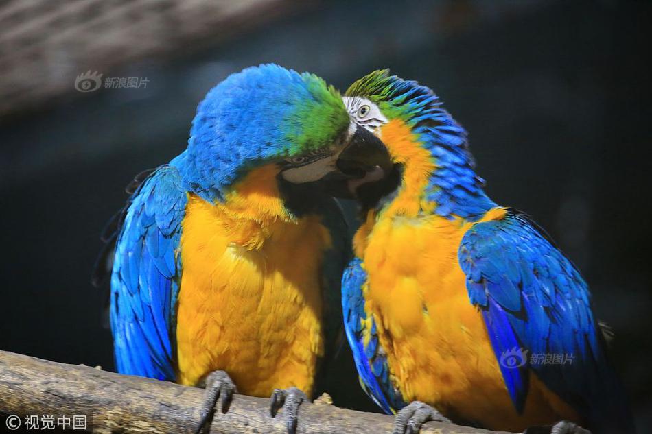 免費的360賬號和密碼大全_爸媽高孩子就一定高？