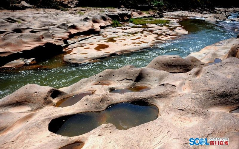 哪吒2魔童鬧海海外評價_年輕“糧食人”葉金的大夢想