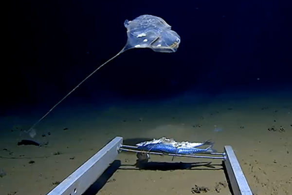 怎么監(jiān)控老婆華為手機(jī)_招募 | 千年雕版印經(jīng)體驗(yàn)暨香灰宣紙再生藝術(shù)活動