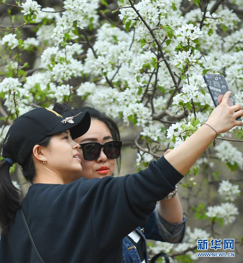 情感之所 生活教會(huì)設(shè)計(jì)