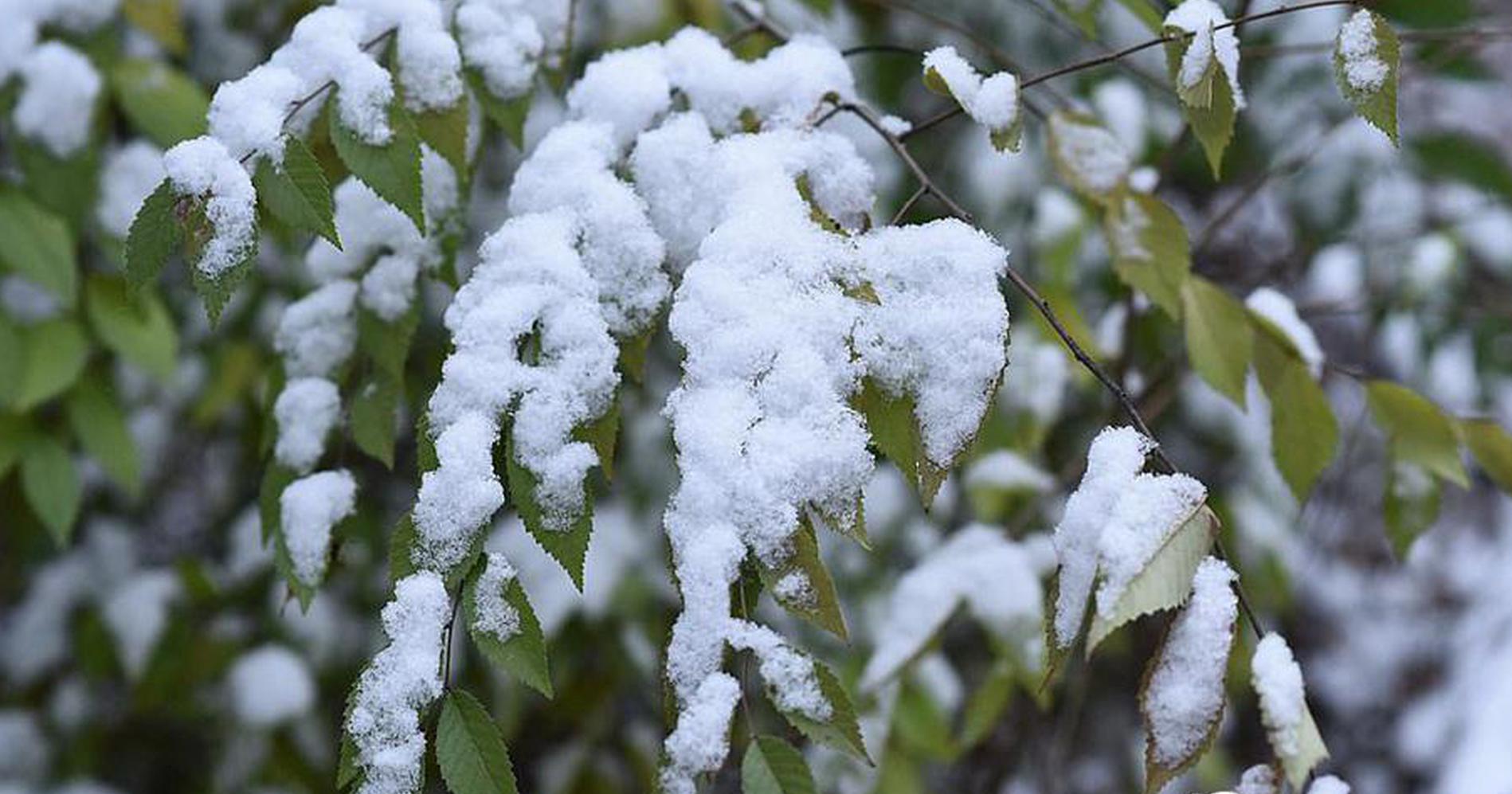 課本上朱元璋“變帥”了，卻也更“真”了