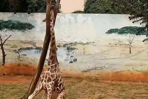 四大證券報頭版頭條內(nèi)容精華摘要_2025年12月9日_財經(jīng)新聞